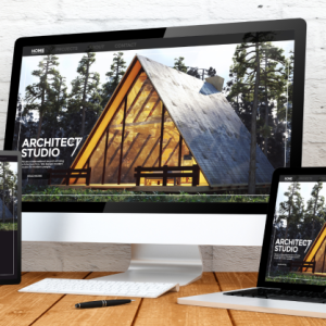Build professional and responsive website design